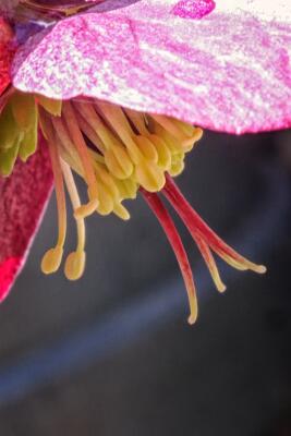 IMGP4359-Resize