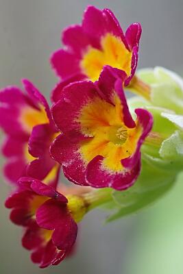 IMGP2159-Resize